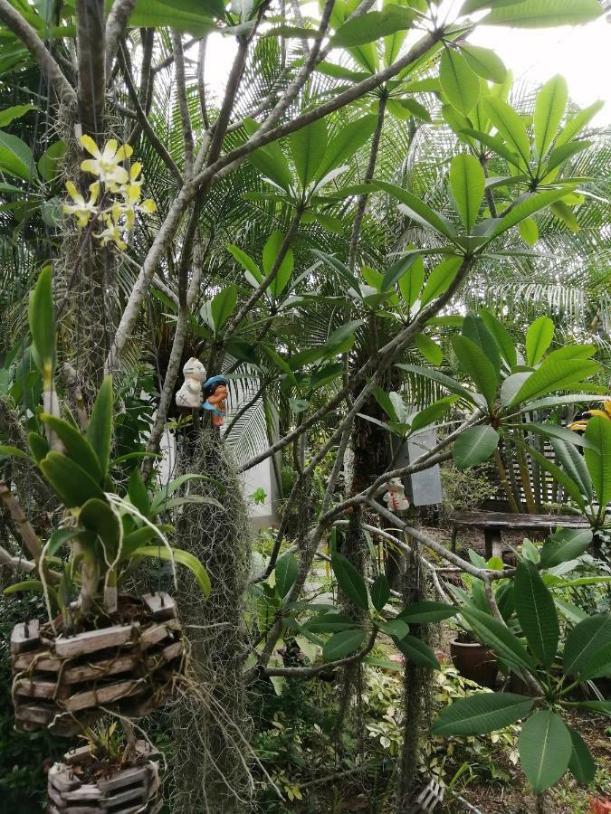 Ban Phak Chit Naiyang Boutique Resort מראה חיצוני תמונה