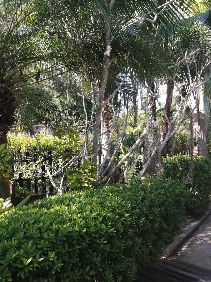 Ban Phak Chit Naiyang Boutique Resort מראה חיצוני תמונה